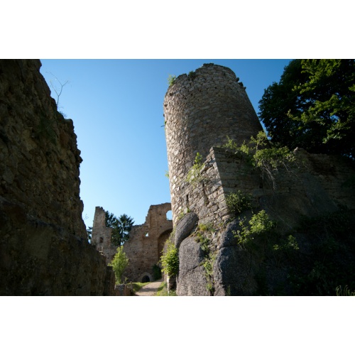 Bild 54 zum Weblog 329
