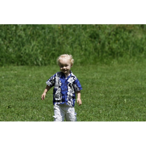 Bild 50 zum Weblog 334