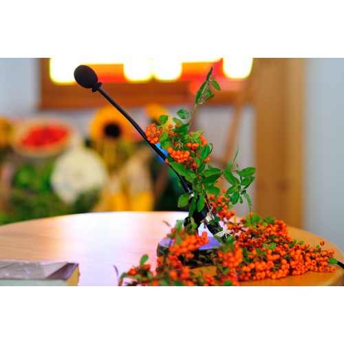 Bild 15 zum Weblog 360
