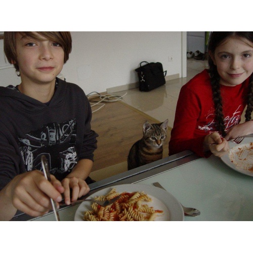 Bild 3 zum Weblog 365
