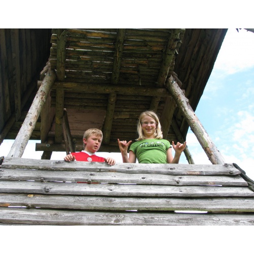 Bild 5 zum Weblog 431