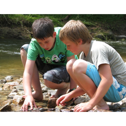 Bild 31 zum Weblog 431