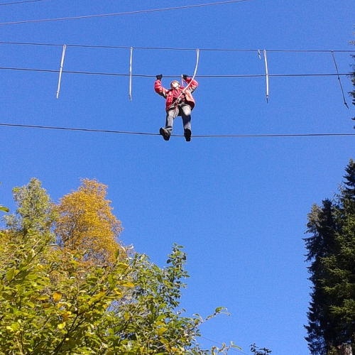 Bild zum Weblog Pfadfinder im Kletterpark