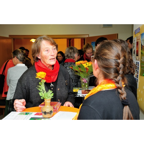 Bild 43 zum Weblog 479