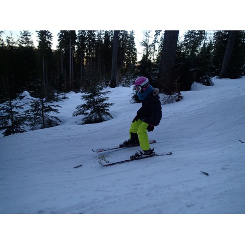 Bild 7 zum Weblog 497
