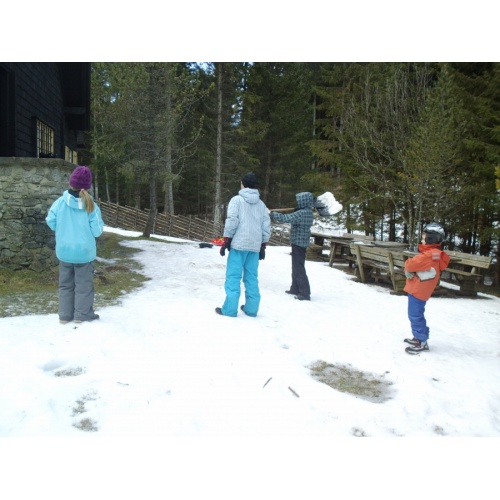 Bild 16 zum Weblog 498