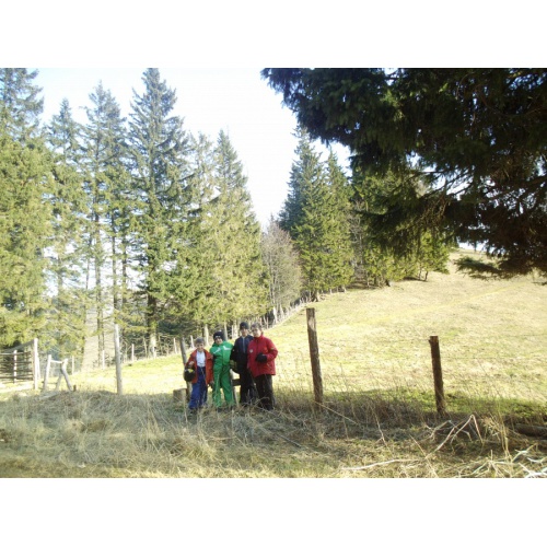 Bild 17 zum Weblog 498