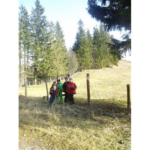 Bild 18 zum Weblog 498