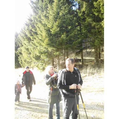 Bild 19 zum Weblog 498
