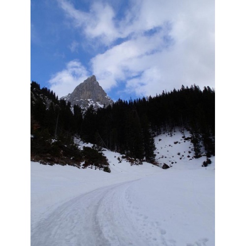 Bild 55 zum Weblog 513