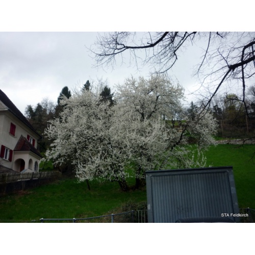 Bild 34 zum Weblog 536