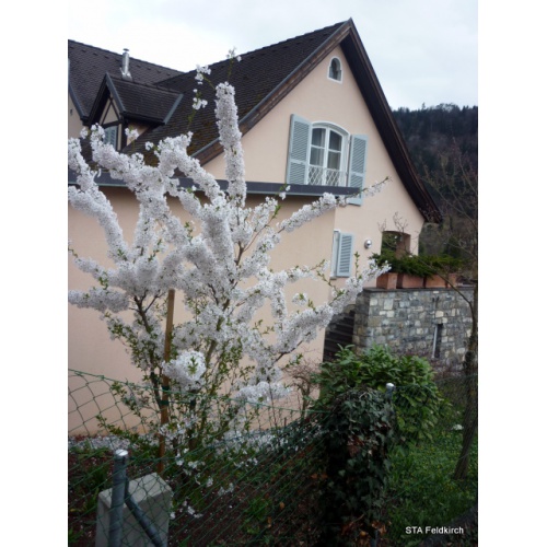 Bild 35 zum Weblog 536