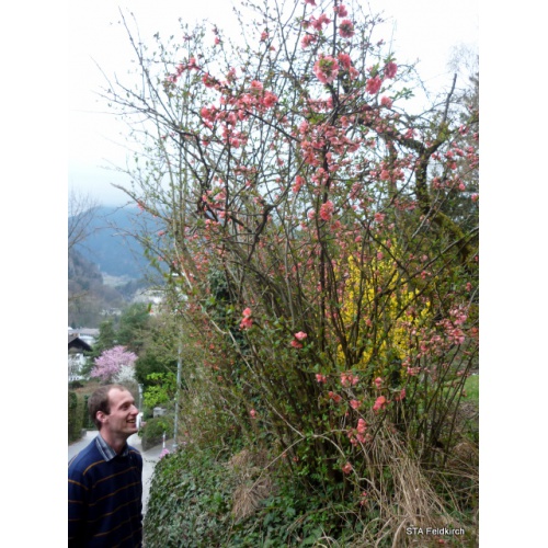 Bild 33 zum Weblog 536