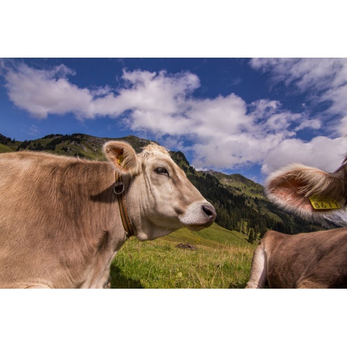 Bild 1 zum Weblog 585
