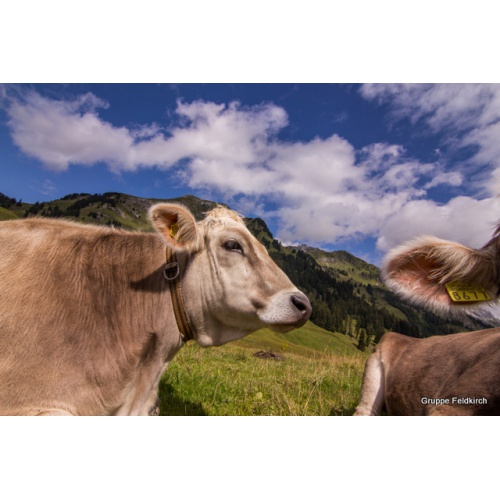Bild 2 zum Weblog 585