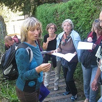 Bild zum Weblog Gesundheitsclub Herbst