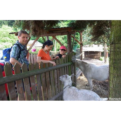 Bild 4 zum Weblog 656