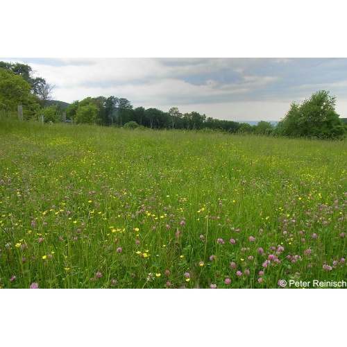 Bild 7 zum Weblog 656