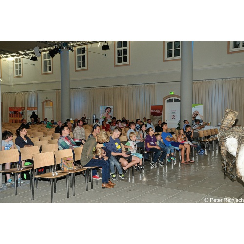 Bild 28 zum Weblog 704