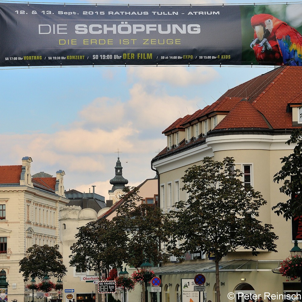 Bild zum Weblog