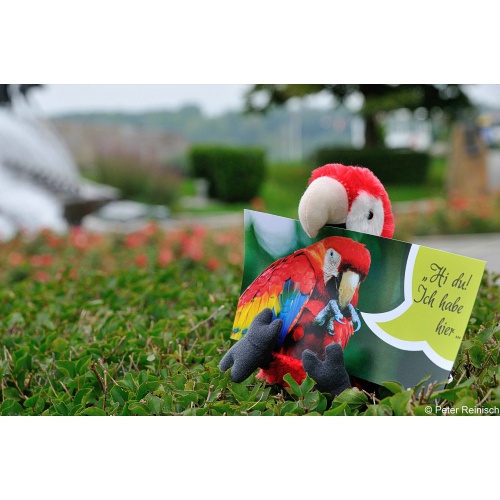 Bild 5 zum Weblog 717