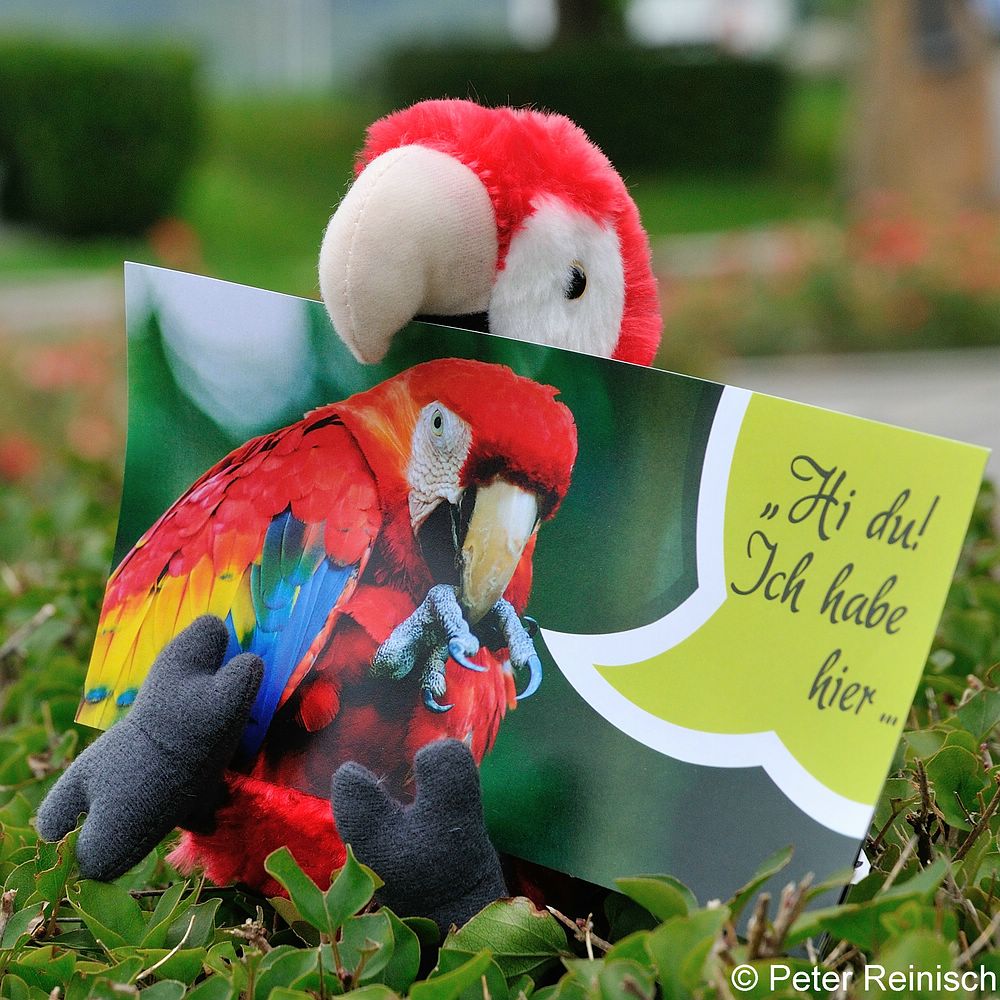 Bild zum Weblog