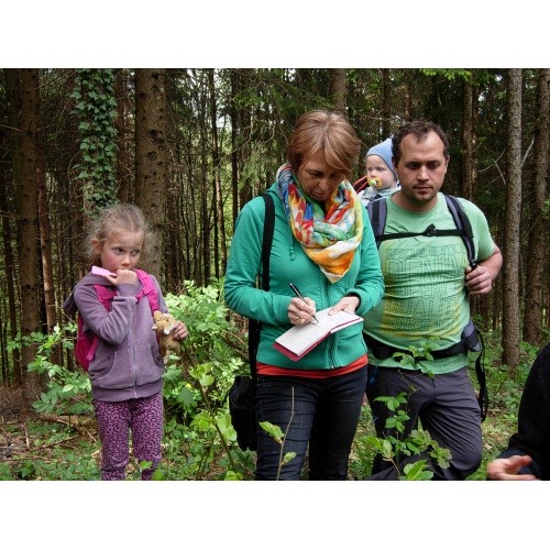 Bild 11 zum Weblog 741