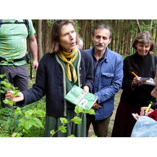 Bild 12 zum Weblog 741