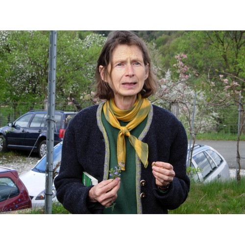 Bild 8 zum Weblog 741