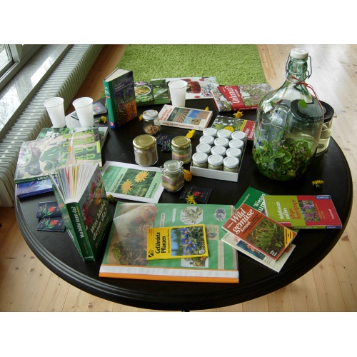 Bild 5 zum Weblog 741