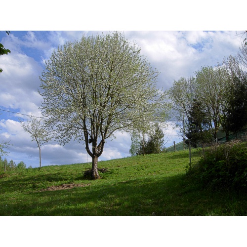 Bild 13 zum Weblog 741