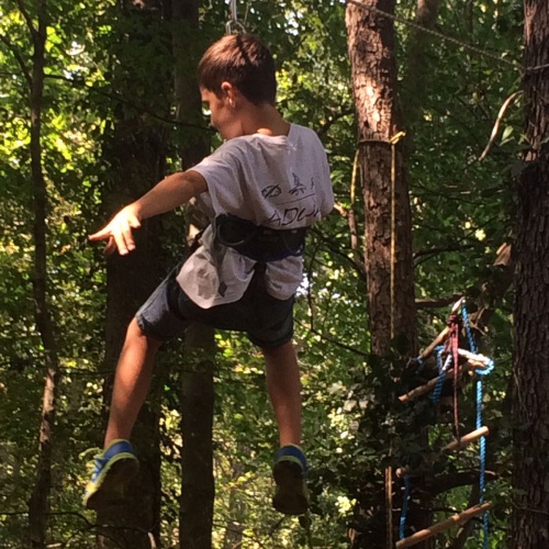 Bild zum Weblog ADWA - Flying Fox
