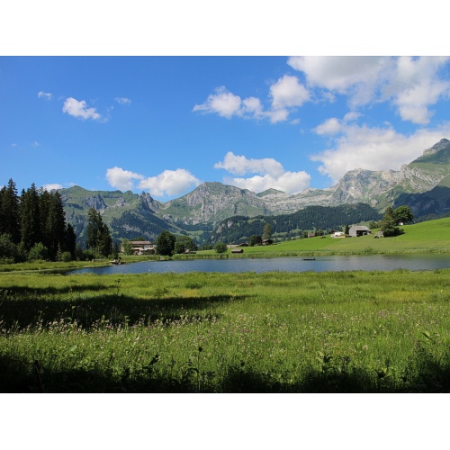 Bild 1 zum Weblog 790