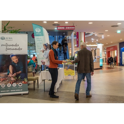 Bild 5 zum Weblog 825