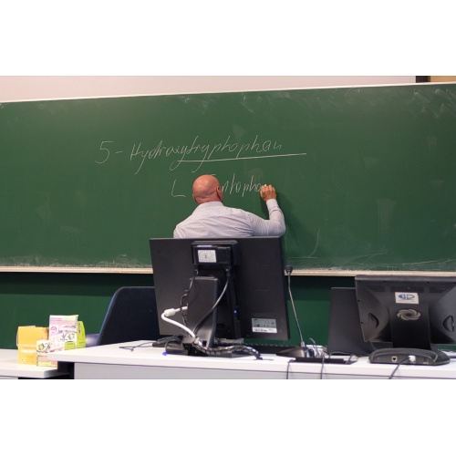 Bild 3 zum Weblog 829