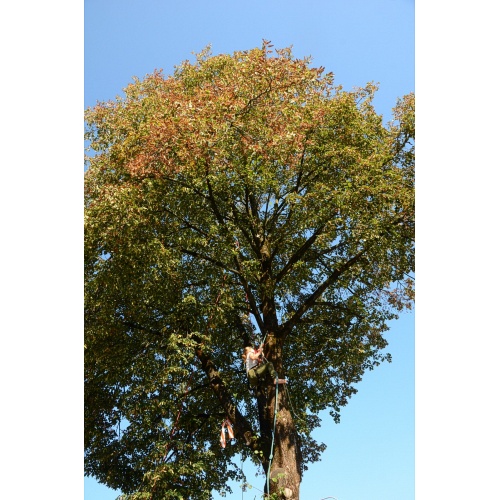 Bild 59 zum Weblog 865