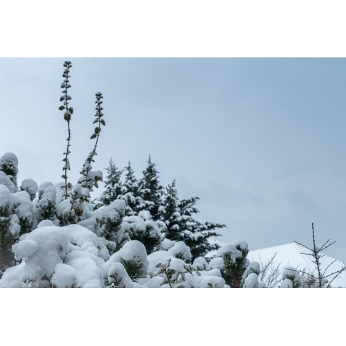 Bild 6 zum Weblog 871