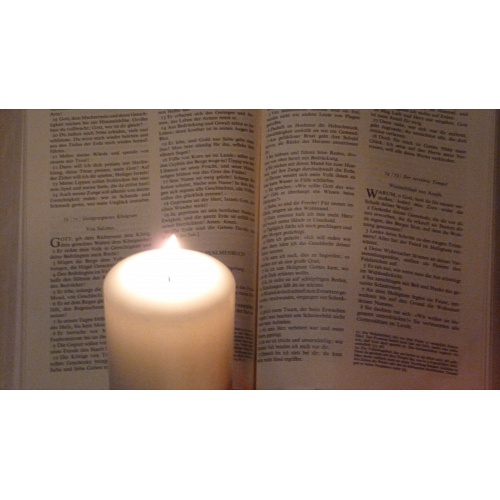 Bild 5 zum Weblog 872
