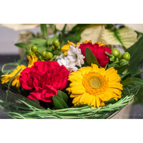 Bild 5 zum Weblog 878