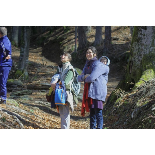 Bild 7 zum Weblog 909