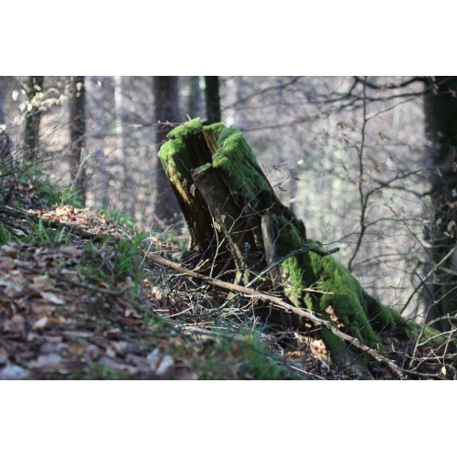 Bild 11 zum Weblog 909