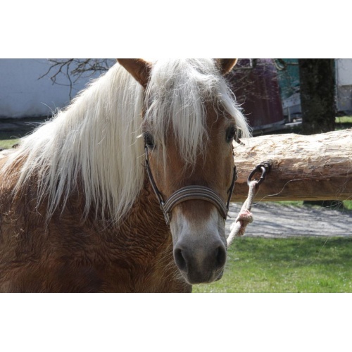 Bild 24 zum Weblog 909