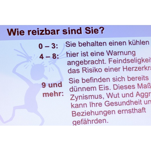 Bild 8 zum Weblog 963