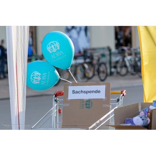Bild 10 zum Weblog 964