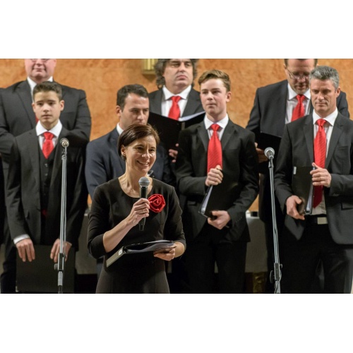 Bild 37 zum Weblog 983